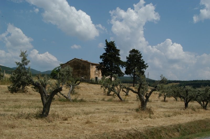 BIBBONA CAMPAGNA